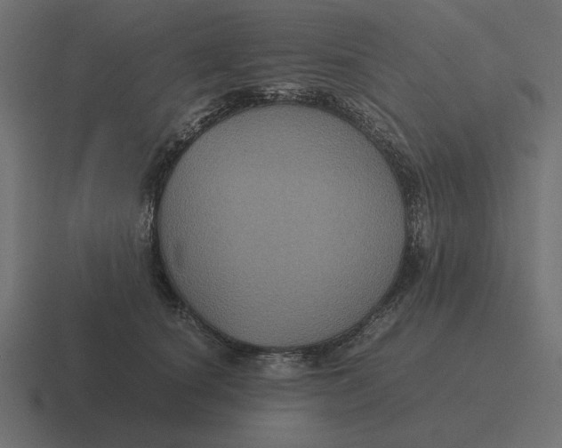 X0000116440660200912291929