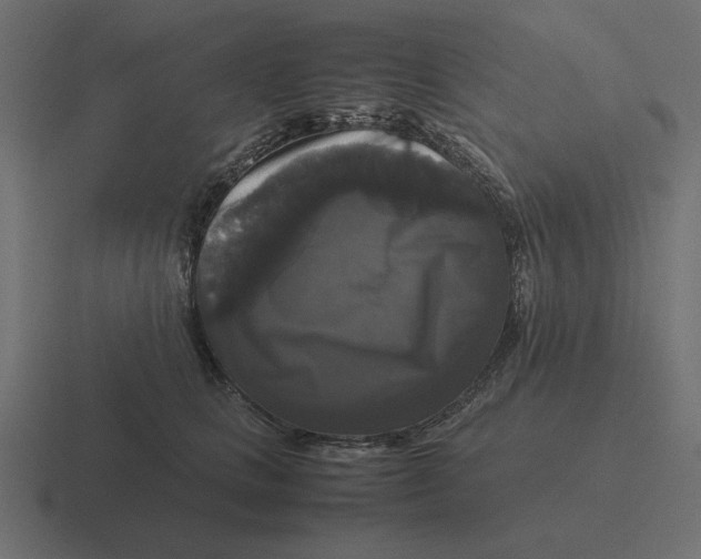 X0000116440661200912291929