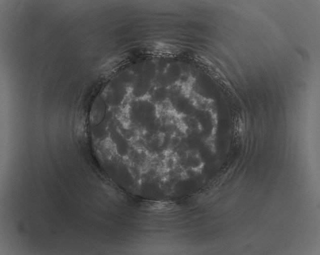 X0000116440663200912291929