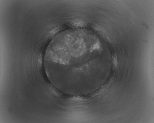 X0000116440668200912291929