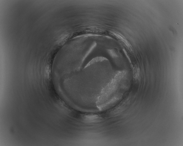 X0000116440669200912291929