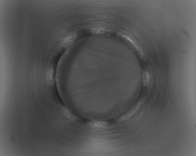 X0000116440670200912291929