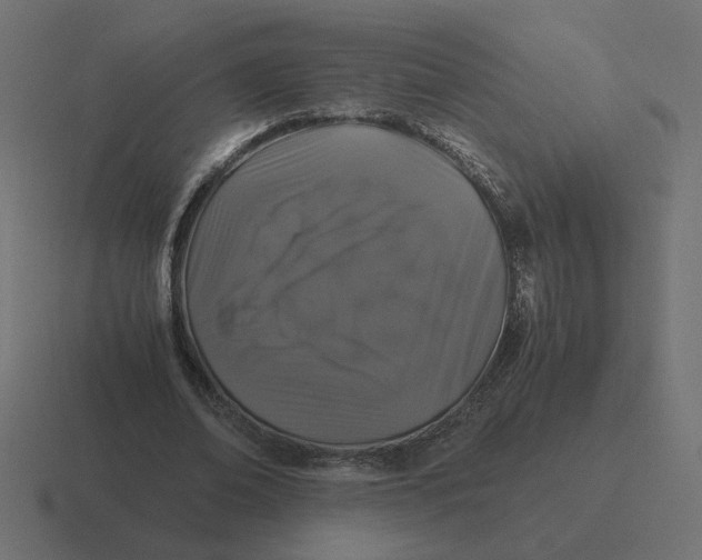 X0000116440678200912291928