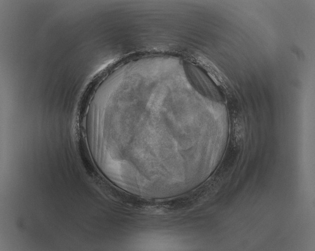 X0000116440680200912291928