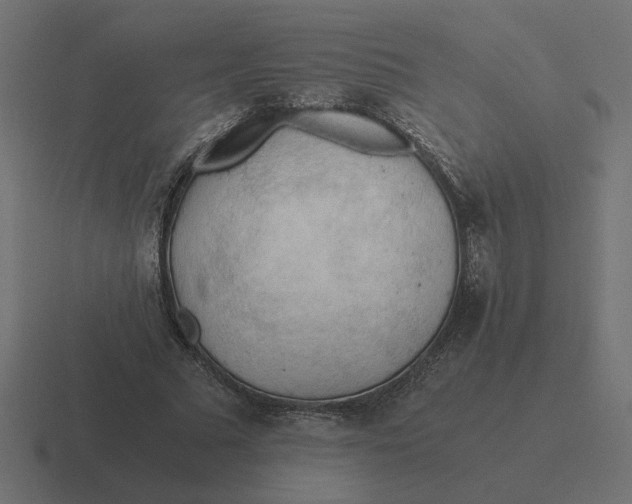 X0000116440681200912291928