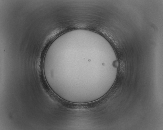 X0000116440682200912291928