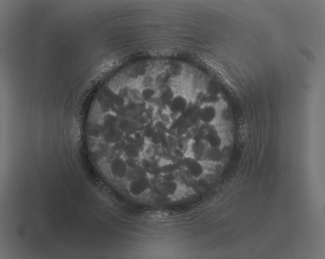 X0000116440687200912291928