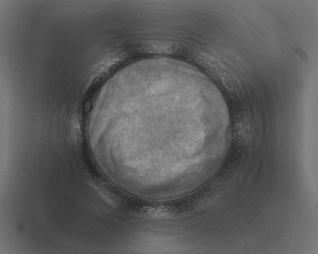X0000116440688200912291928