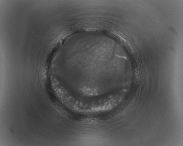 X0000116440691200912291928