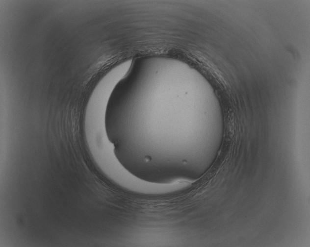 X0000116440693200912291928