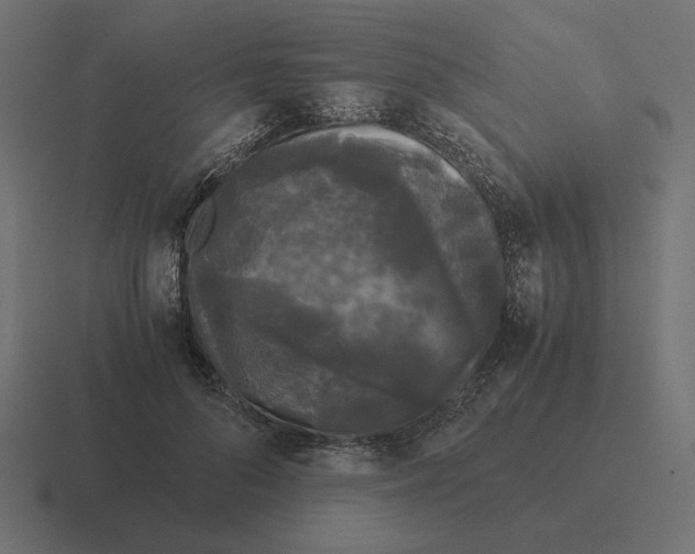 X0000116440696200912291928