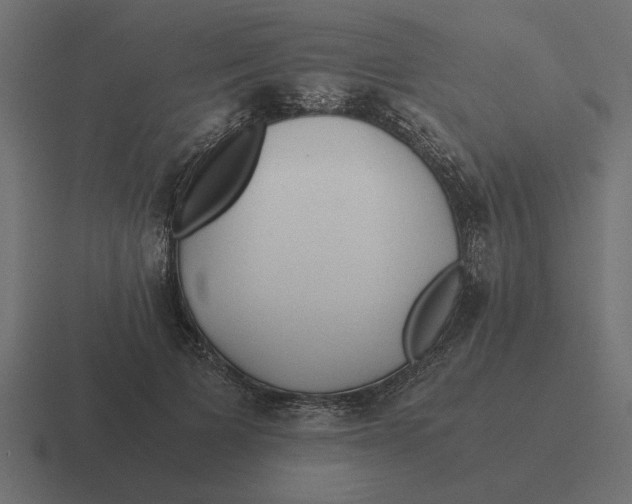X0000116440697200912291928