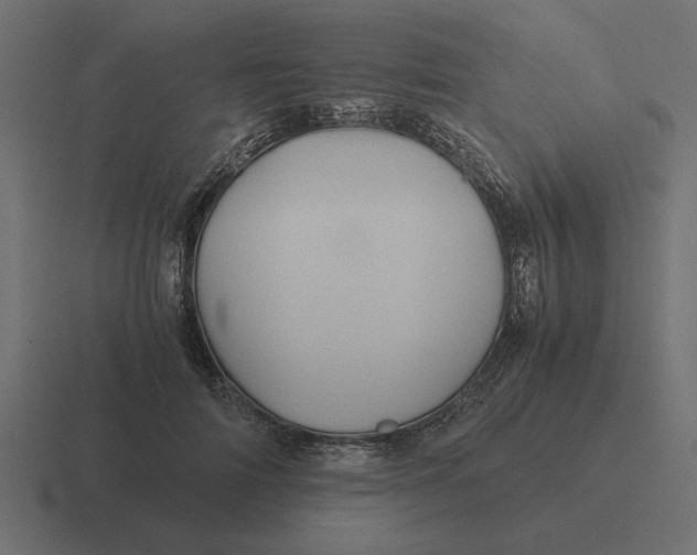 X0000116440698200912291928