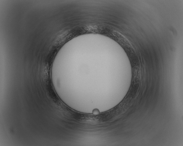 X0000116440702200912291928
