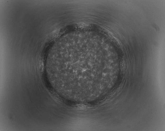 X0000116440703200912291928