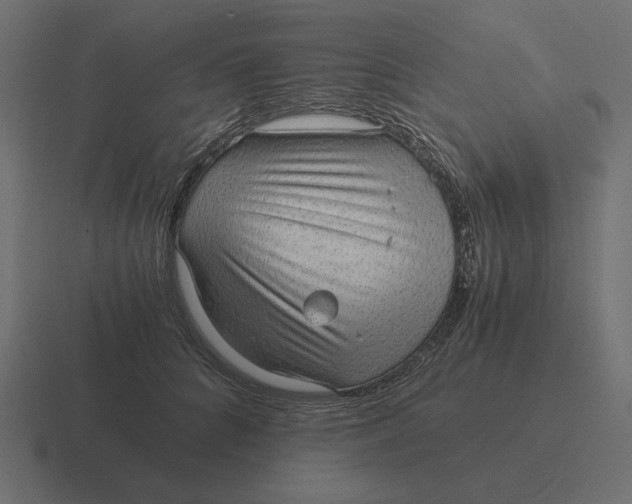 X0000116440704200912291928