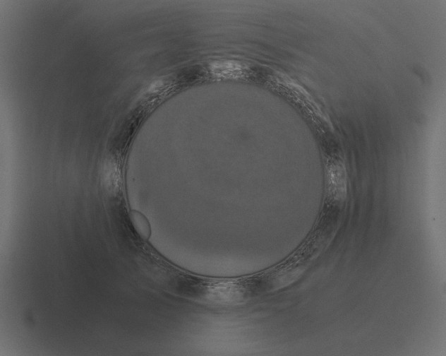 X0000116440705200912291928