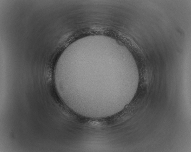 X0000116440706200912291928