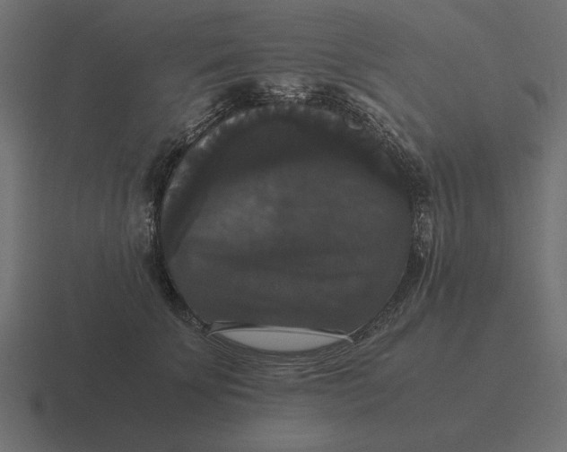 X0000116440707200912291928
