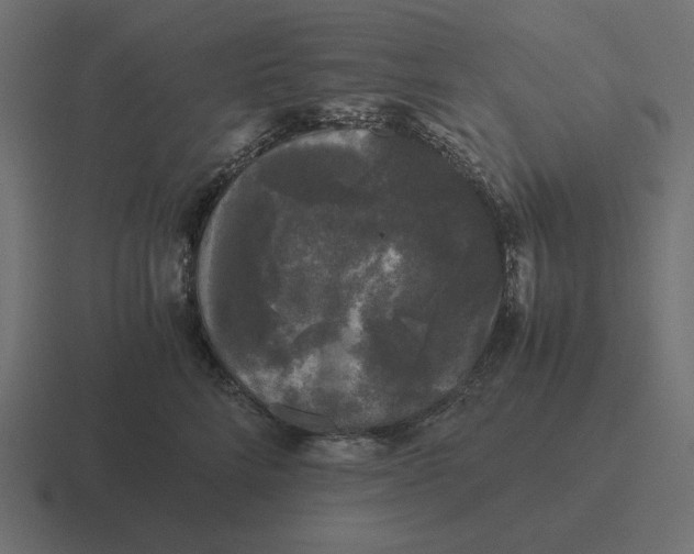 X0000116440712200912291928