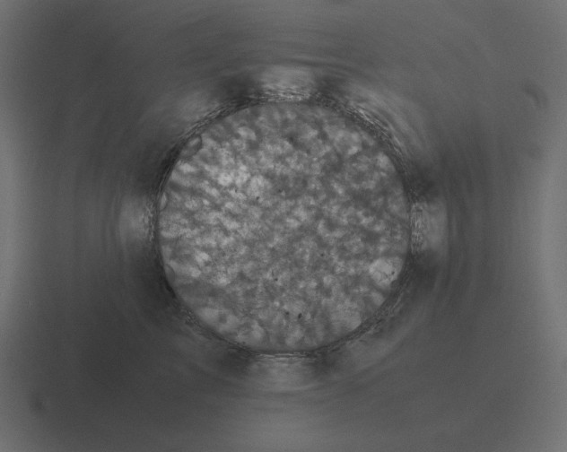 X0000116440713200912291928