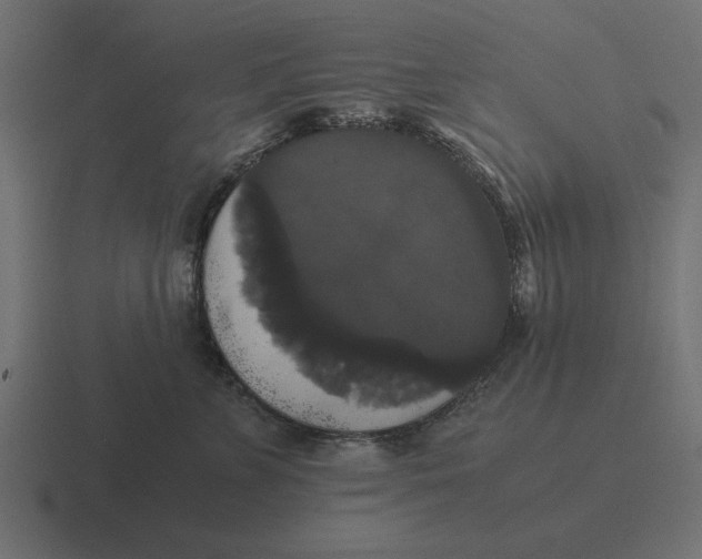 X0000116440715200912291928