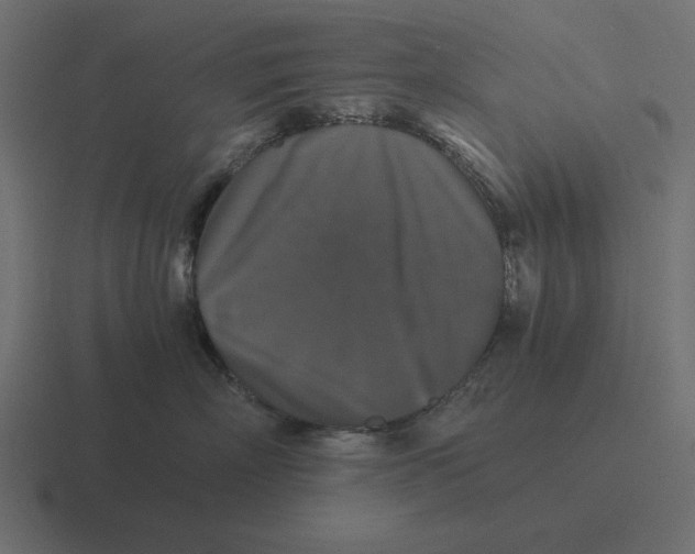 X0000116440718200912291928