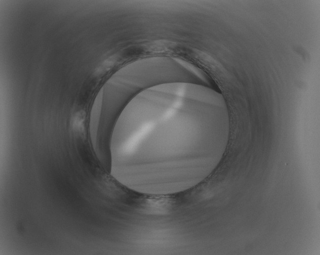 X0000116440720200912291928