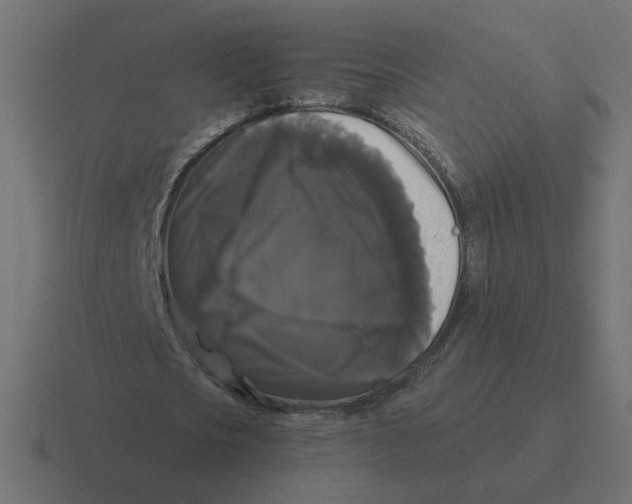 X0000116440721200912291927