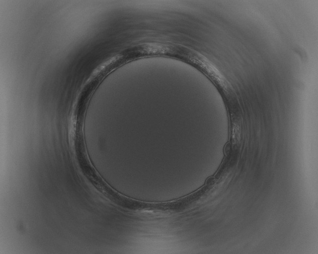 X0000116440722200912291927