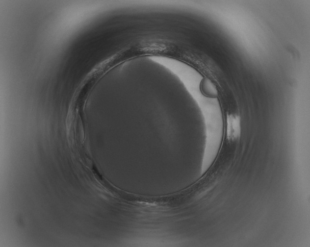 X0000116440723200912291927
