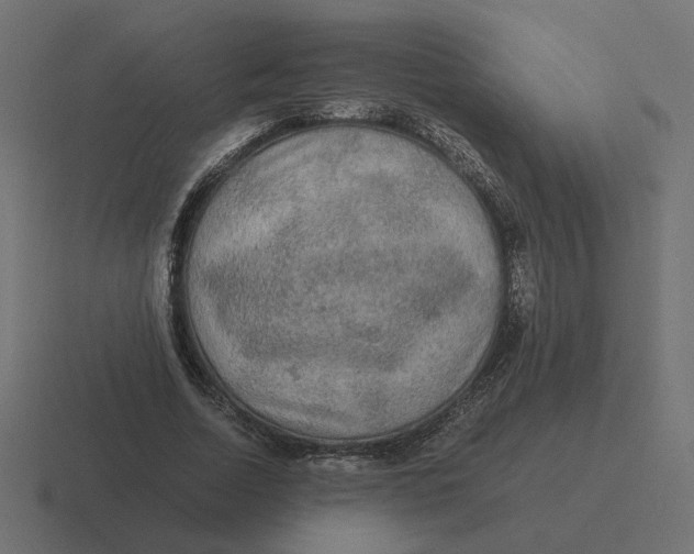 X0000116440730200912291927