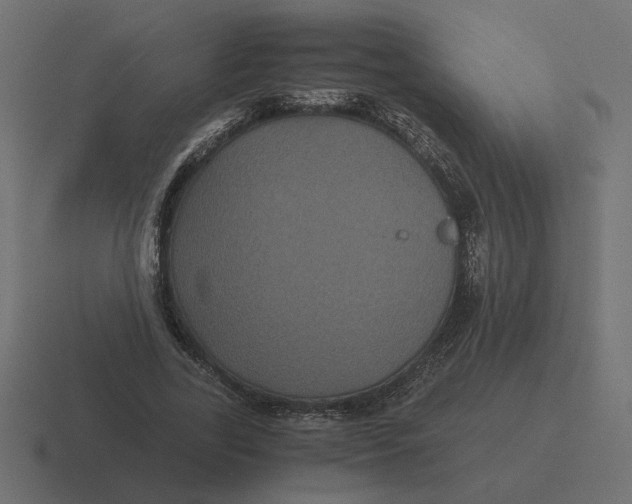 X0000116440731200912291927