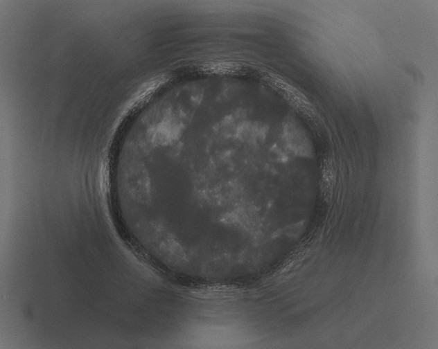 X0000116440734200912291927
