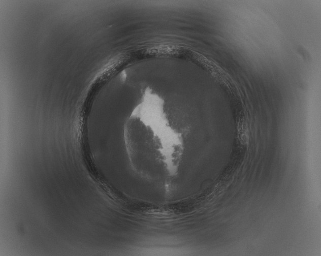 X0000116440735200912291927