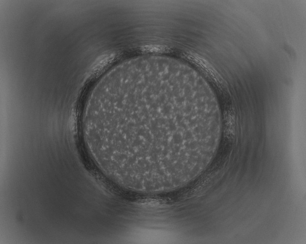 X0000116440738200912291927
