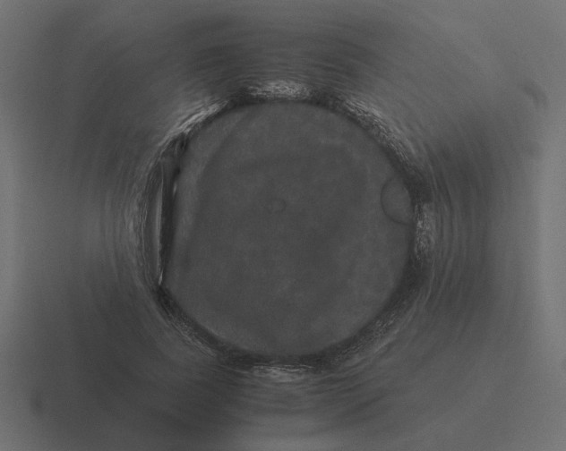 X0000116440739200912291927