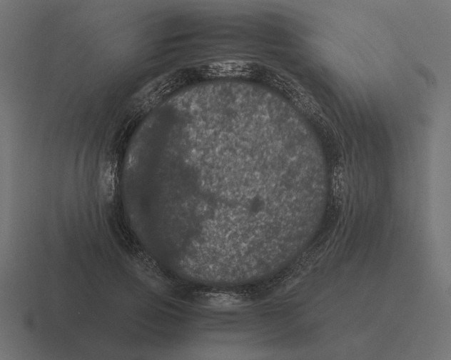 X0000116440741200912291927