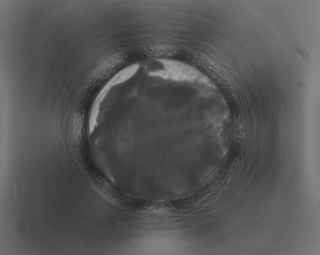 X0000116440742200912291927