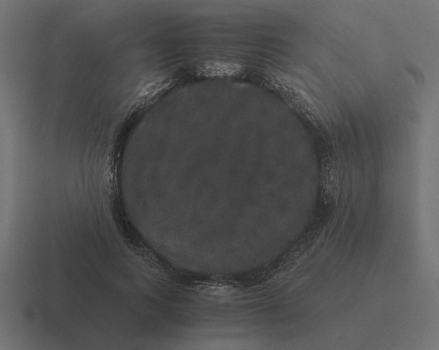 X0000116440743200912291927