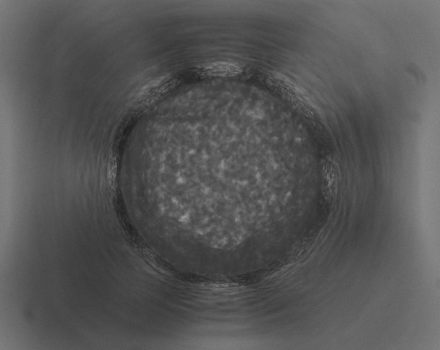 X0000116440745200912291927