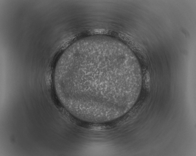 X0000116440746200912291927