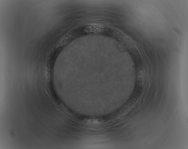 X0000116440751200912291928