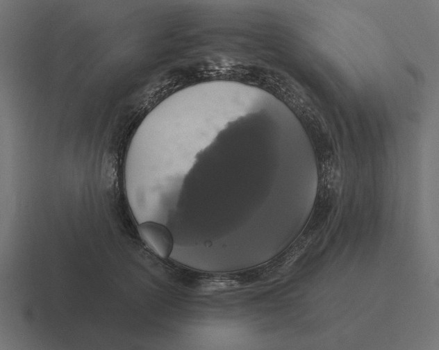 X0000116440754200912291928