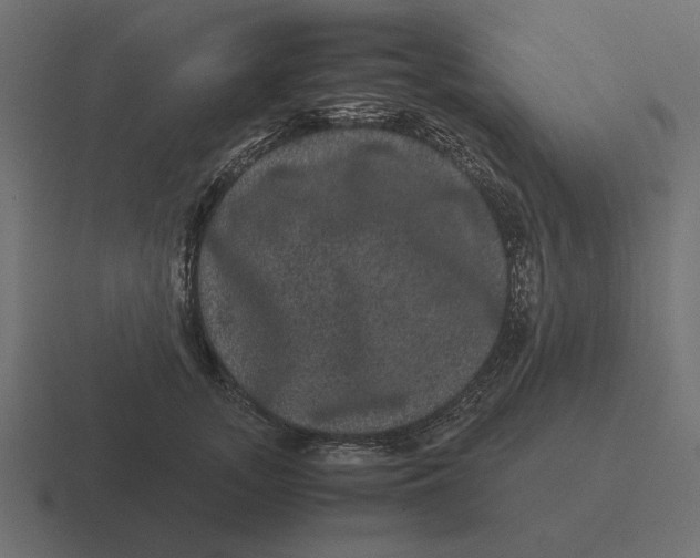 X0000116440755200912291928