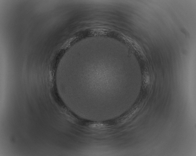 X0000116440759200912291928