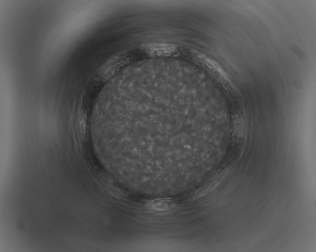 X0000116440761200912291928
