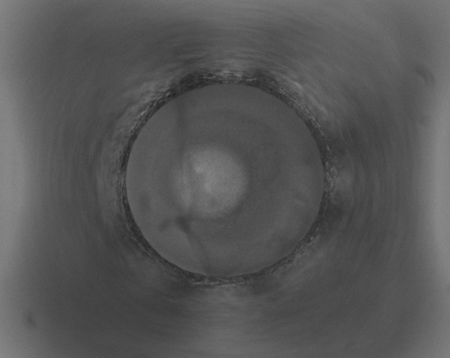 X0000116440769200912291927