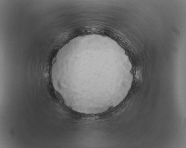X0000116440771200912291927