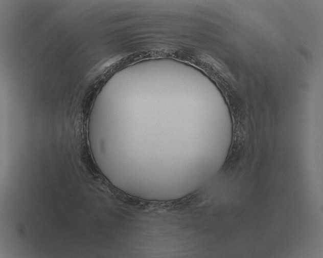 X0000116440773200912291927